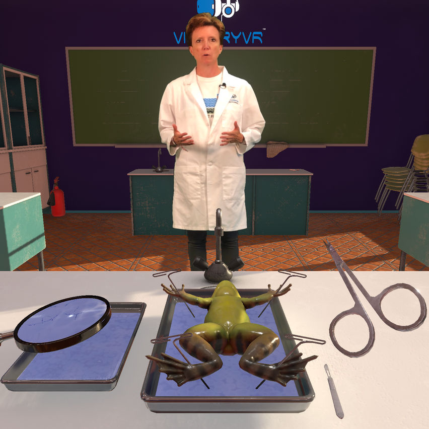 Dissection Simulator: Frog Edition