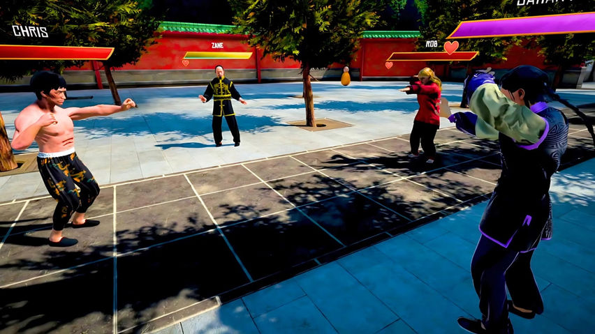Dragon Fist: VR Kung Fu