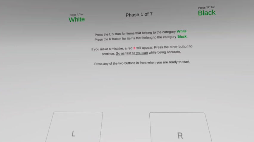 VR IAT