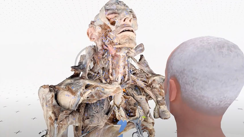 MEDICALHOLODECK. ANATOMY, IMAGING, AI