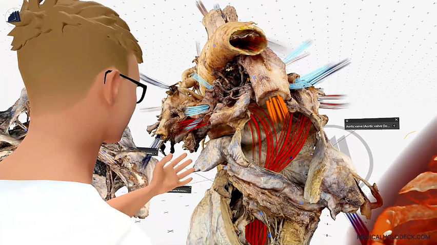 Medicalholodeck. Medical Virtual Reality for Education and Professionals.