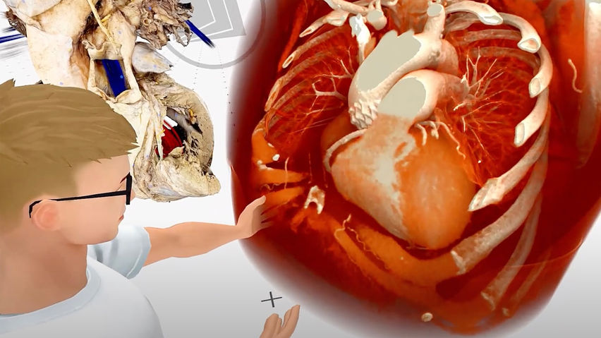 MEDICALHOLODECK. ANATOMY, IMAGING, AI