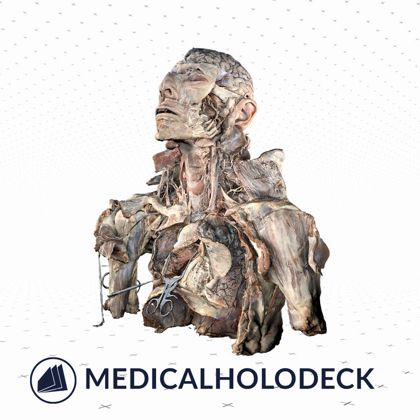 Medicalholodeck's Dissection Master XR