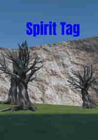 Spirit Tag