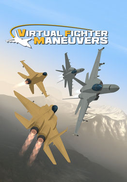 Virtual Fighter Maneuvers
