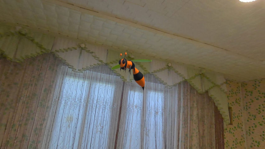 wasps