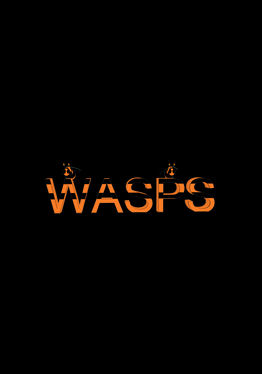 wasps