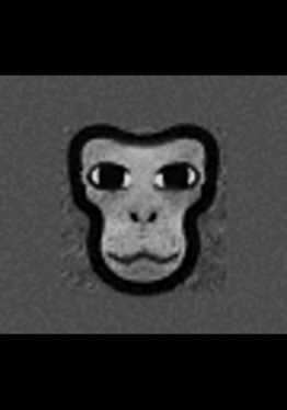Chimpu