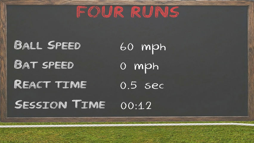 Cricket VR