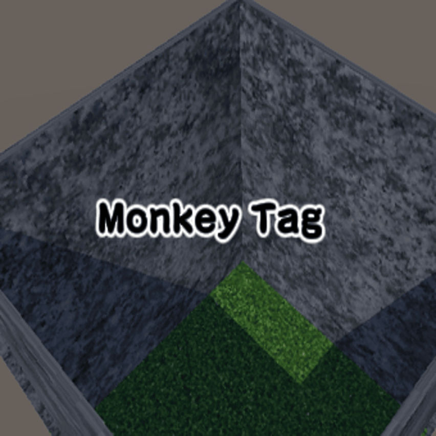Monkey Tag