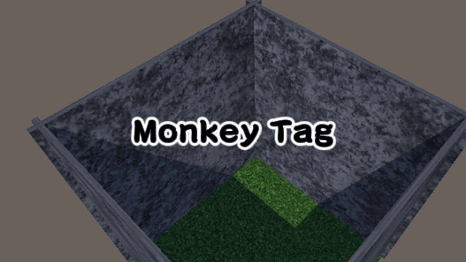 Monkey Tag