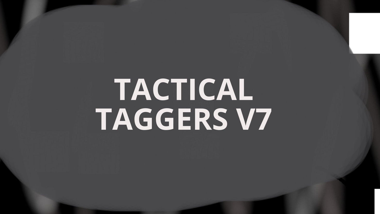 TACTICAL TAGGERS V7