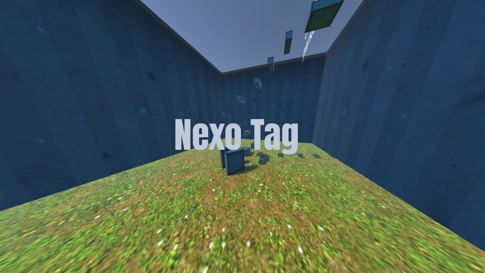 Nexo Tag