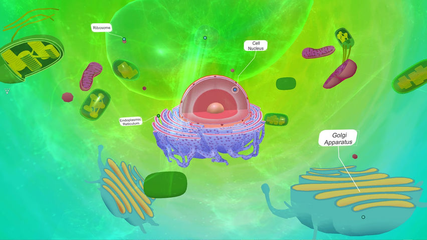 PlantCell