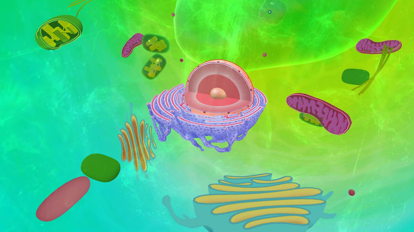PlantCell