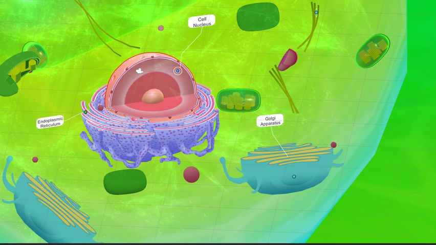 PlantCell