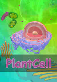 PlantCell