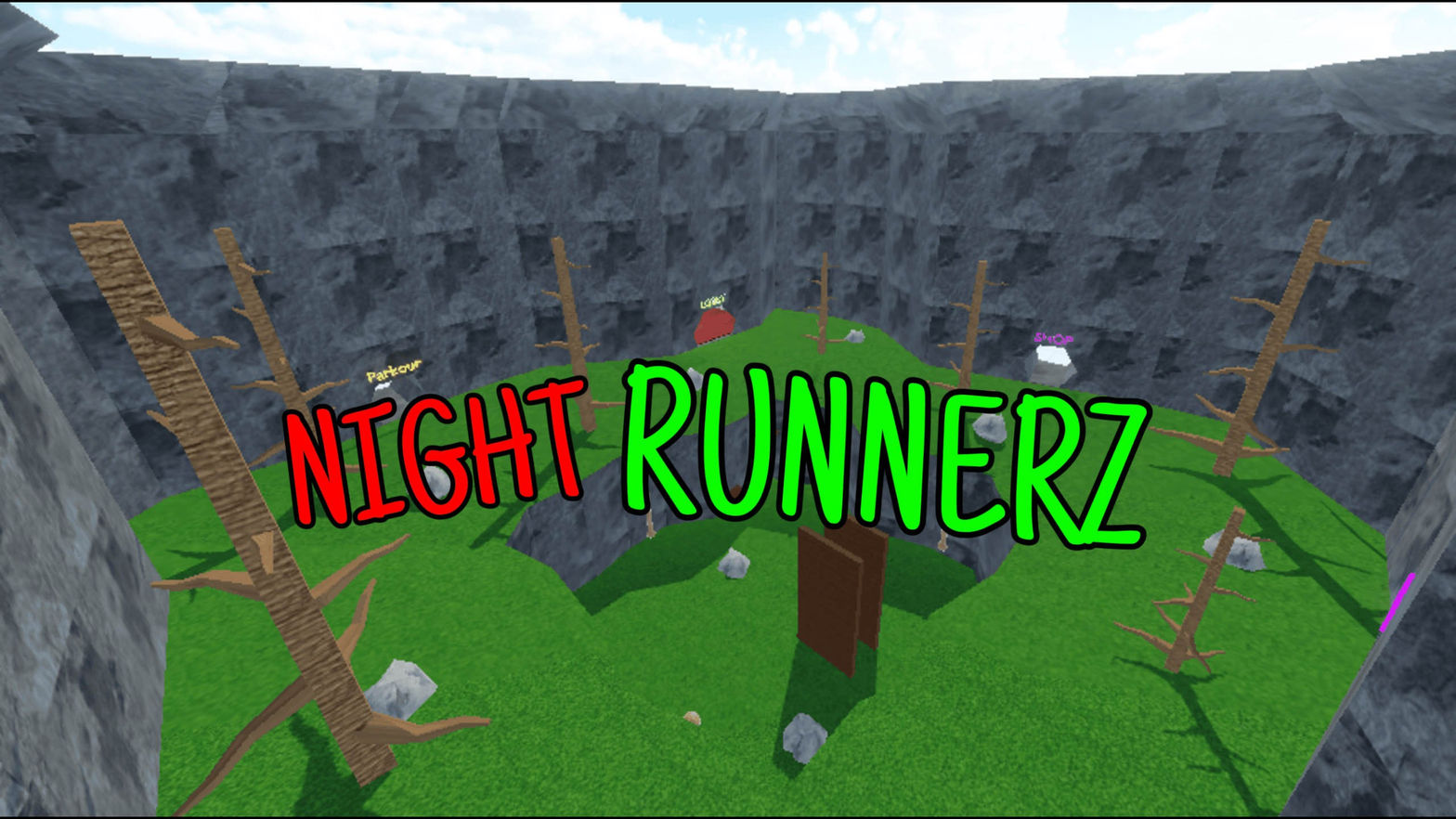 Night Runnerz