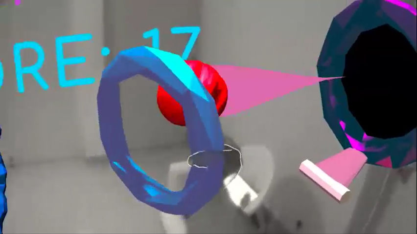 Portal Hoop