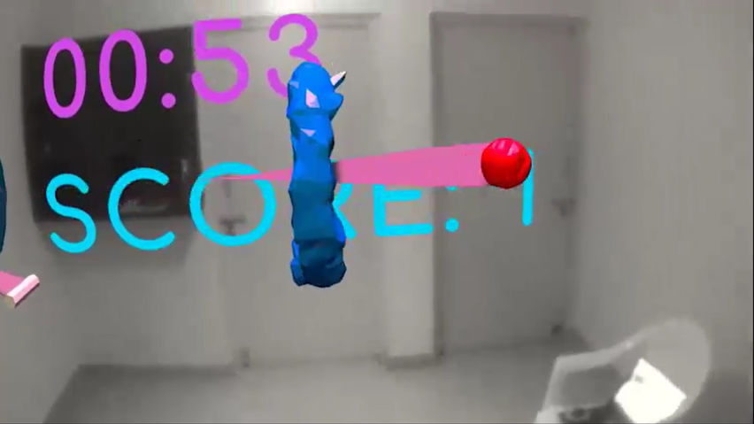 Portal Hoop