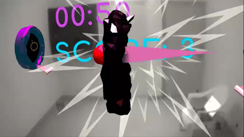 Portal Hoop