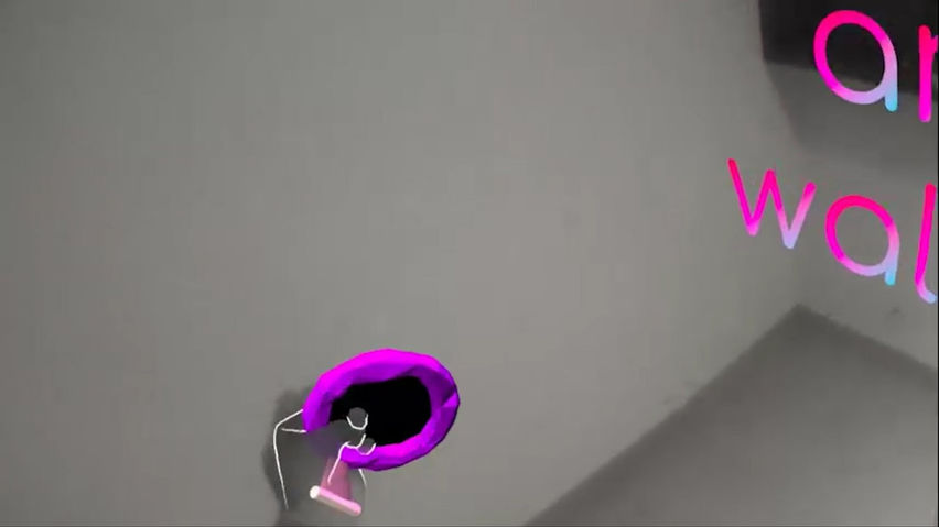 Portal Hoop