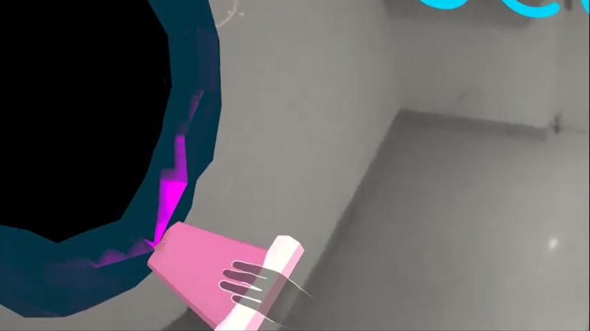 Portal Hoop