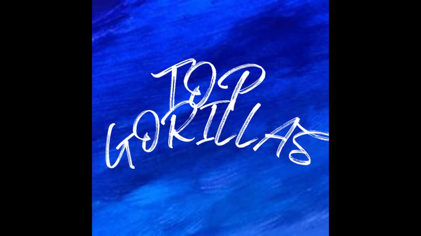 Top Gorillas