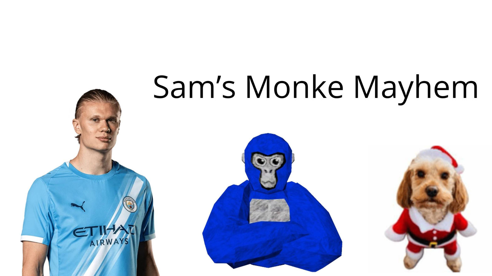 Sam's Monke Mayhem