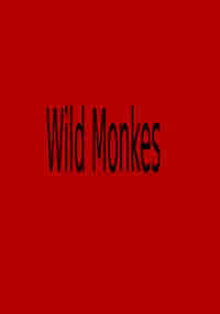 Wild Monkes