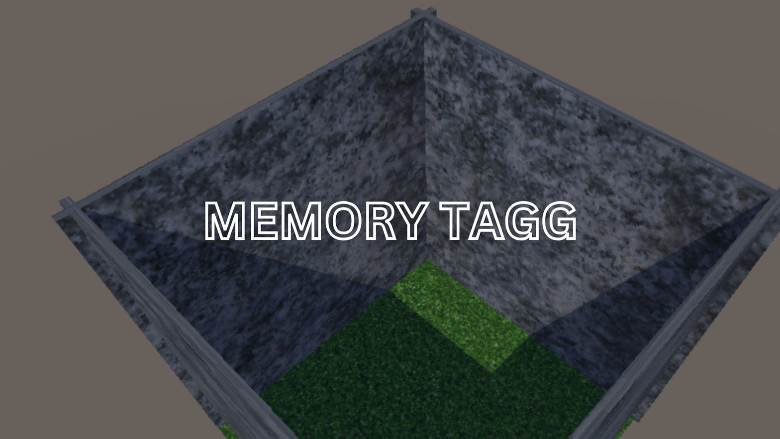Memory Tagg