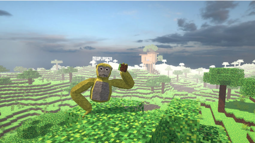 Monkey Space 2