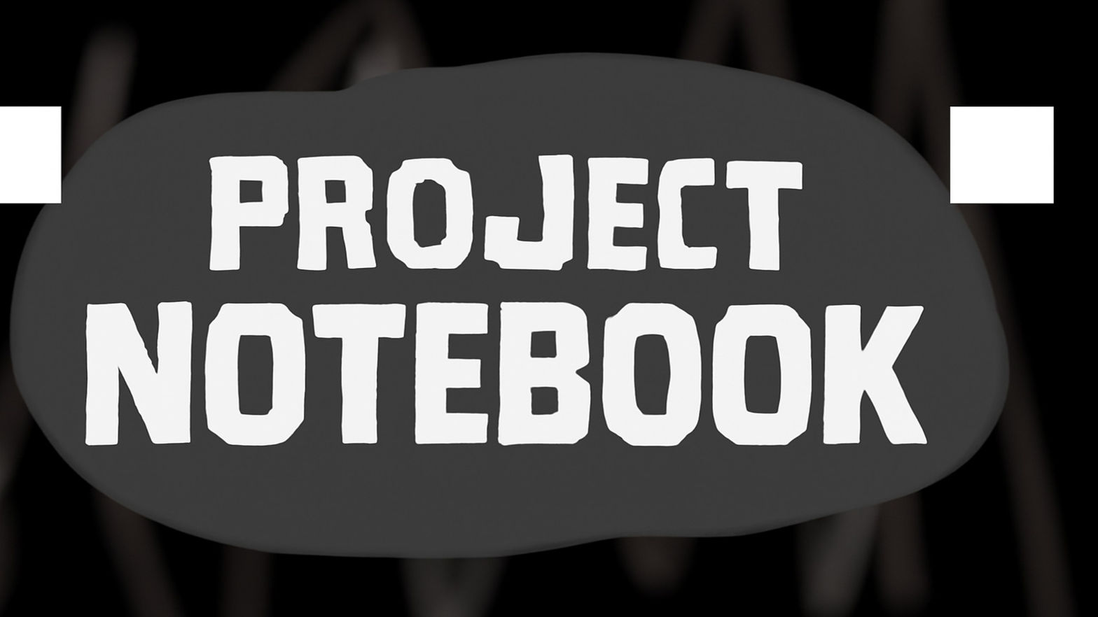 Project Notebook