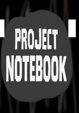 Project Notebook