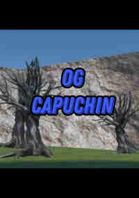 OG Capuchin