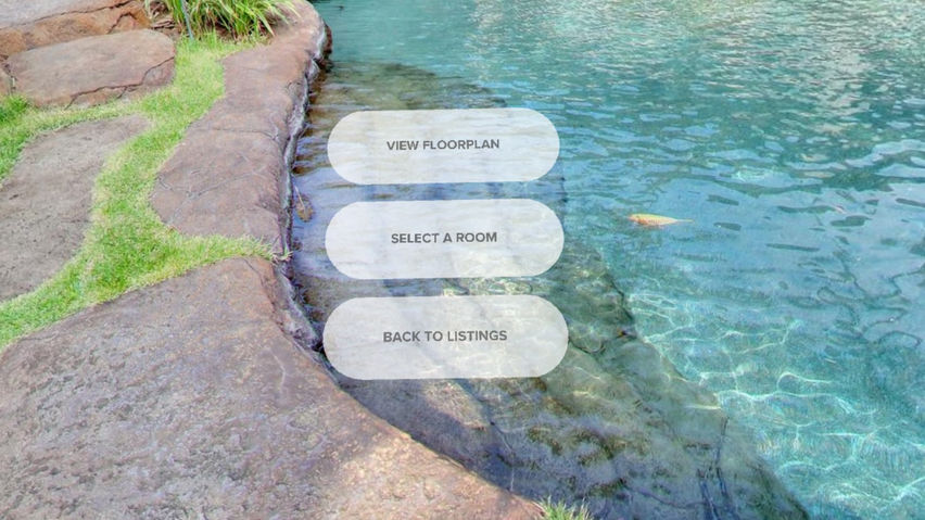 Realvision VR