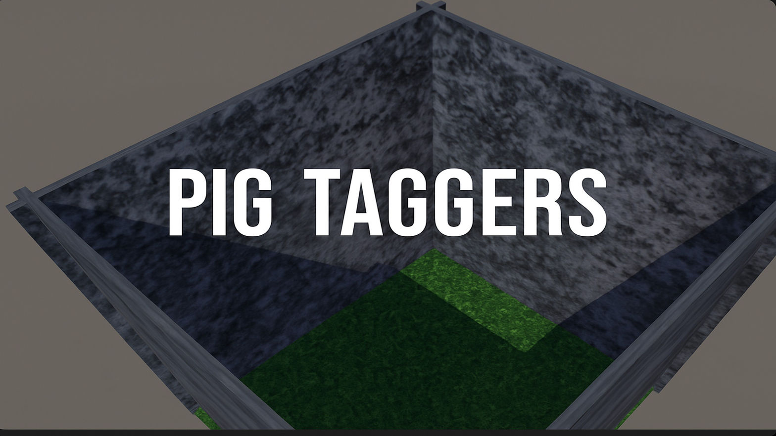 Pig Taggers