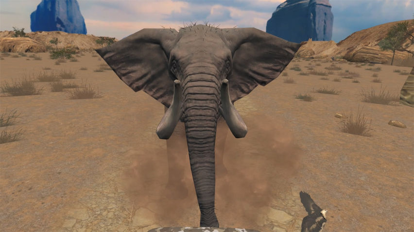 Wild Ride Expedition - Africa