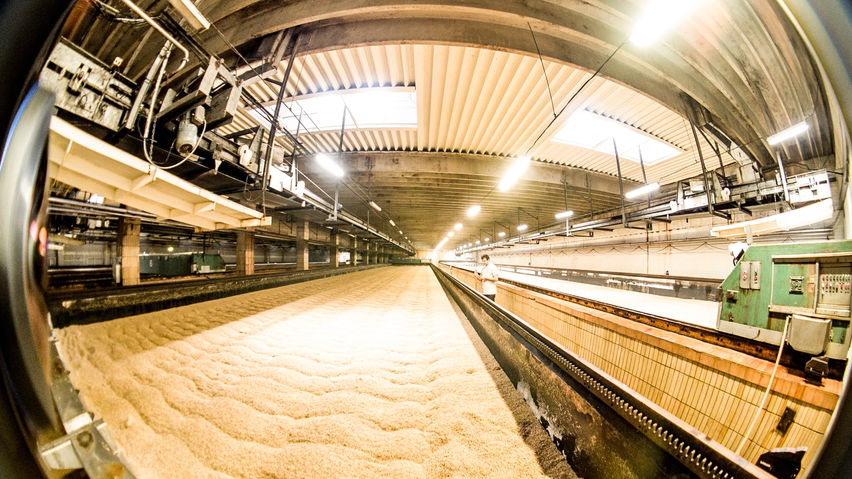 Pilsner Urquell Virtual Brewery Tour SG