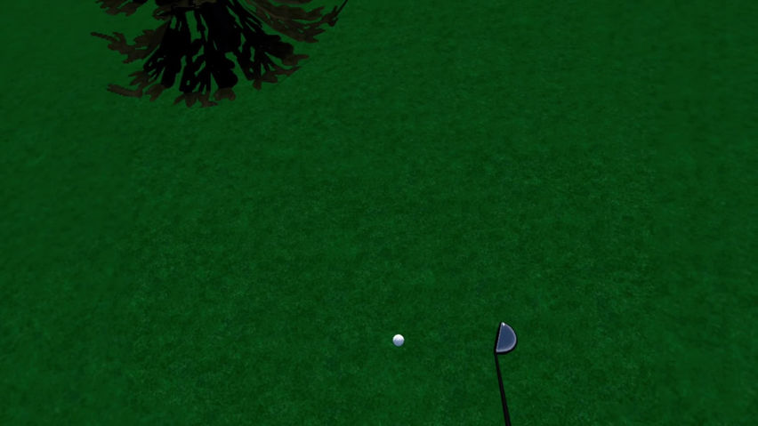 Virtual Golf