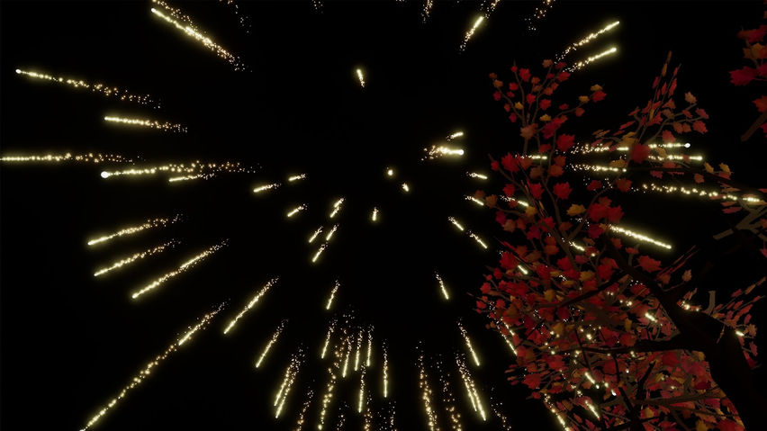 fireworks