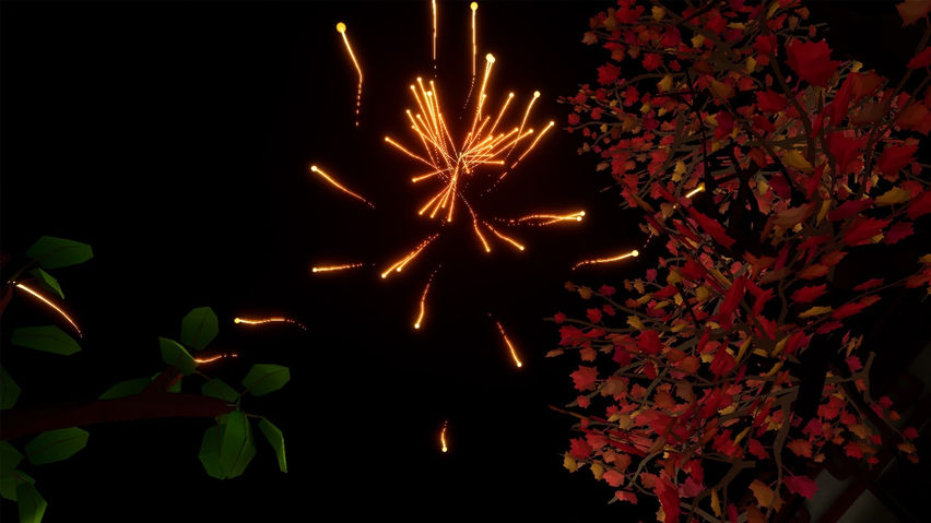 fireworks