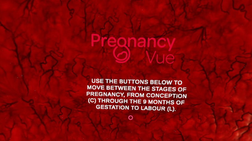 PregnancyVue