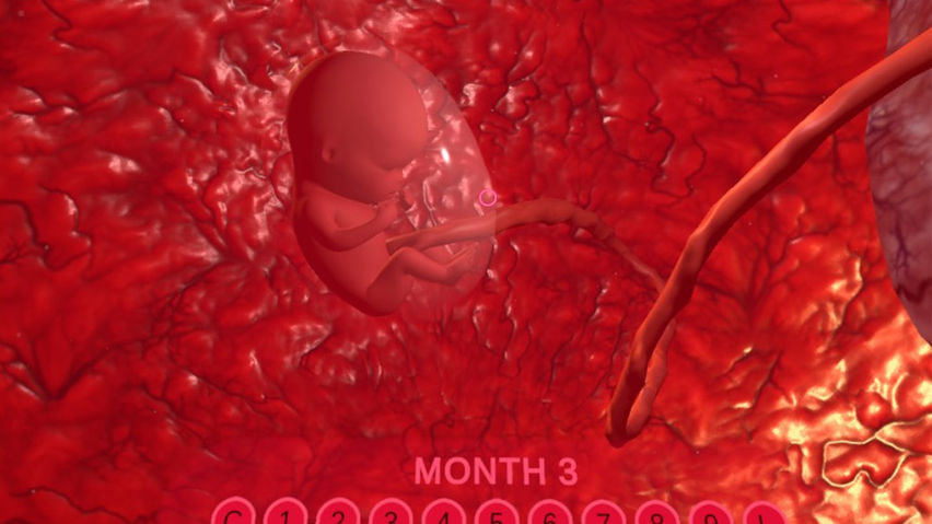 PregnancyVue