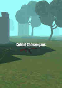 Cuboid Shenanigans
