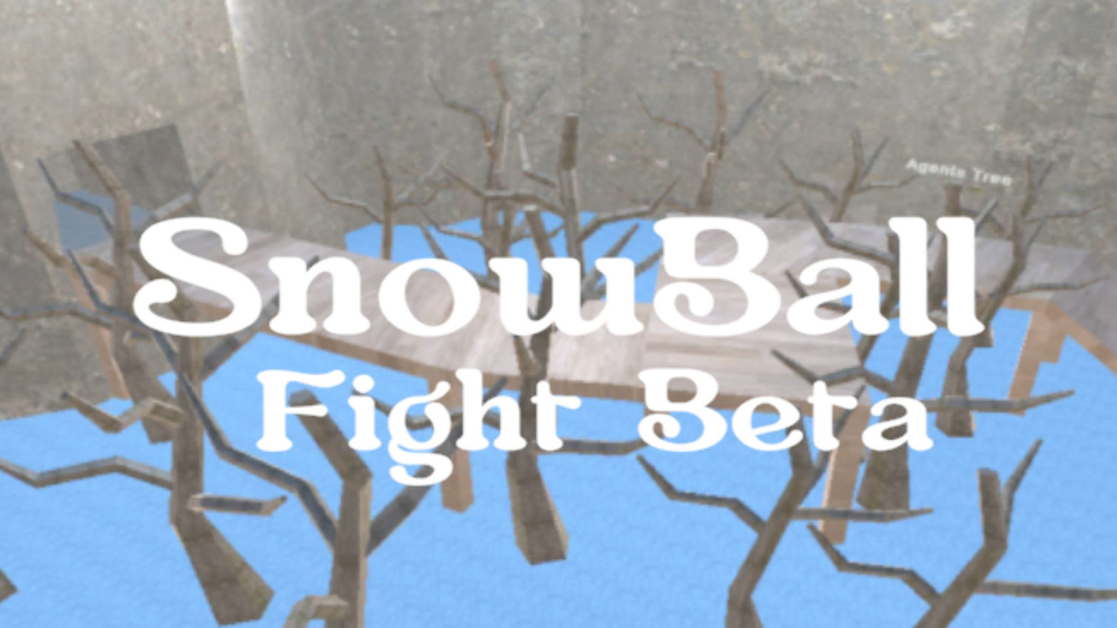 SnowBall Fight Beta