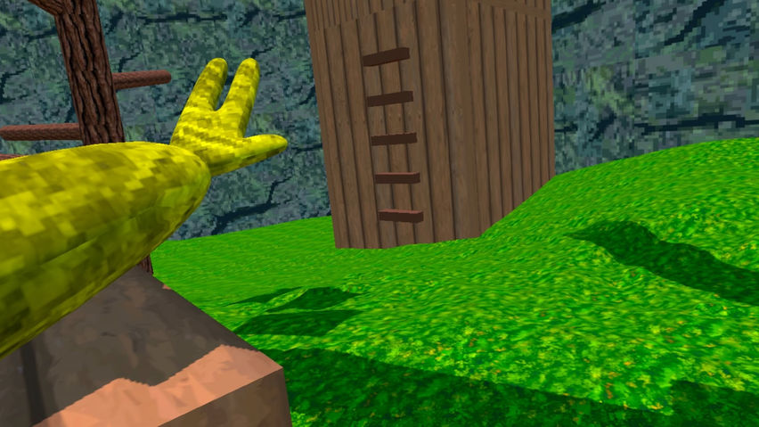 Amazing Chimps