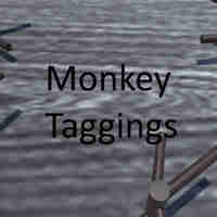 Monkey Taggings