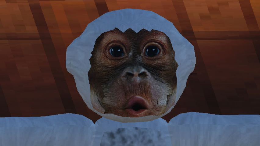 Crunky Monkeys