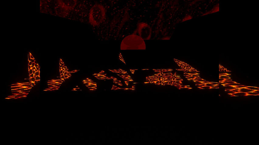 Angel's Scary Gorilla Tickles